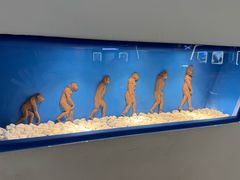 -龙塔