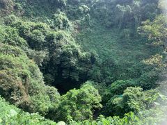 -海口火山口国家地质公园