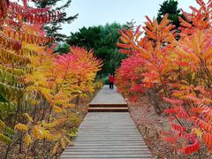 -长春世界雕塑园冰雪艺术天地