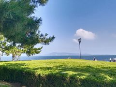 -悦海公园