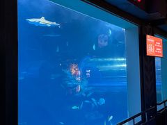 -太平洋海底世界