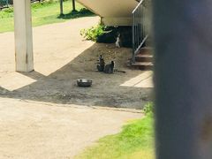 -无锡动物园·太湖欢乐园