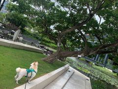 -万科前海企业公馆