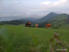 -大姆山草场