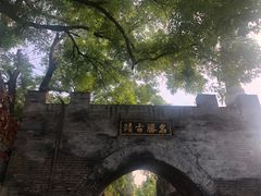 -大槐树寻根祭祖园