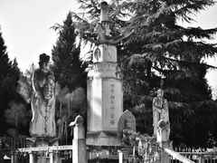 -西安青龙寺遗址景区