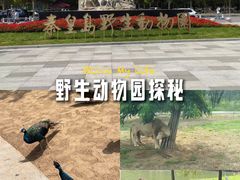 -秦皇岛野生动物园