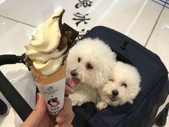 -GODIVA(国际金融中心店)