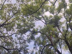 -晓港公园