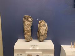 -天津自然博物馆