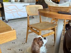 -大小咖啡 BigSmallCoffee(麦子店)
