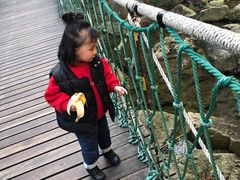 -宁波五龙潭景区