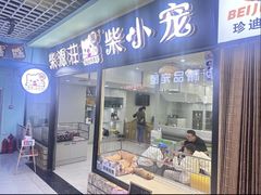 -柴源莊·柴小宠柴犬咖啡