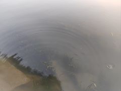 -南北湖风景区