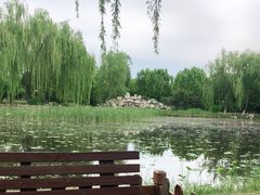 -东升八家郊野公园