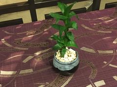 -锦堂中餐厅