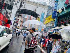 -秋叶原电器街
