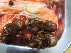 -威海海鲜王(窑头路店)