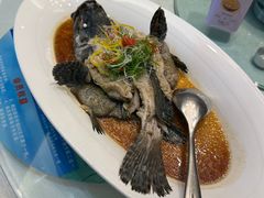 广式蒸龙胆-名人名家     浙菜.家宴