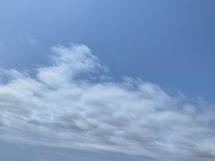 -红月湾海鲜饭店•沙滩海景(双月湾店)