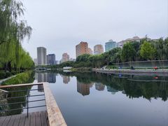 -三里屯东五街银杏大道