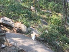 -崂山仰口游览区