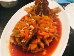 -蝶园·装修中(BFC外滩金融中心店)