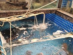 -雾·江·鲜建德菜