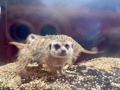 -太平洋海底世界