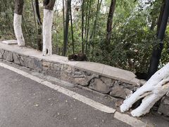 -云龙山