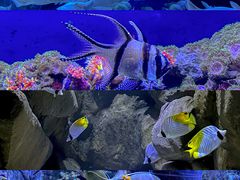 -成都浩海立方海洋公园