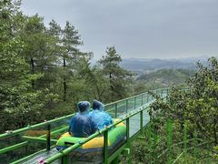 -贵州森林野生动物园
