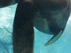 -福州罗源湾海洋世界旅游区