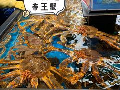 帝王蟹-盒马鲜生(宝地店)