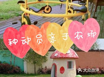夏日遛娃放电：种动员亲子农场