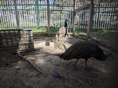 -广东花都香草世界旅游度假区