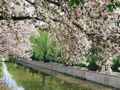 -元大都城垣遗址公园