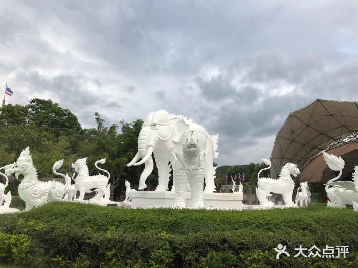 清迈夜间动物园图片