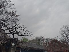 -荣国府