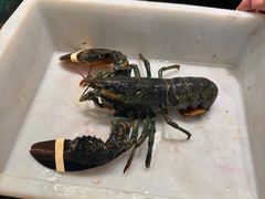 -良师门滨海人家·海鲜·家常菜(滨海城店)