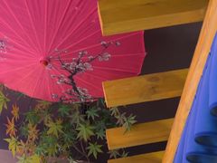 -望庐说·本地菜馆