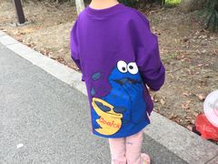 -荷塘月色湿地公园·向阳花洲