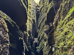 -梭布垭石林景区