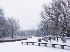 -长春公园(普阳街道)