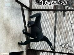 -昆明动物园
