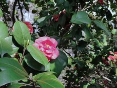 -杭州城北体育公园