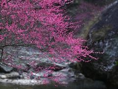 -温州永嘉书院