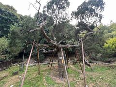 -草庵摩尼教遗址公园