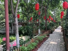 -草根堂农场
