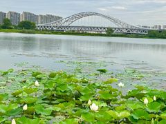 -澹台湖公园
